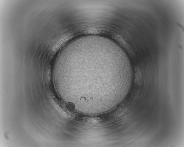 X0000099540683200805301501