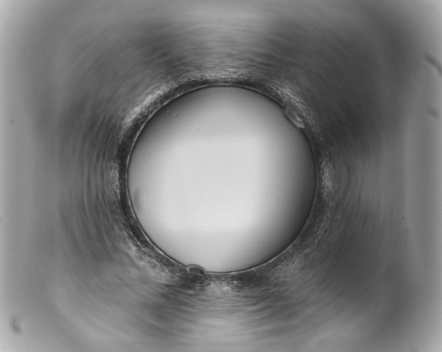 X0000099540684200805301501