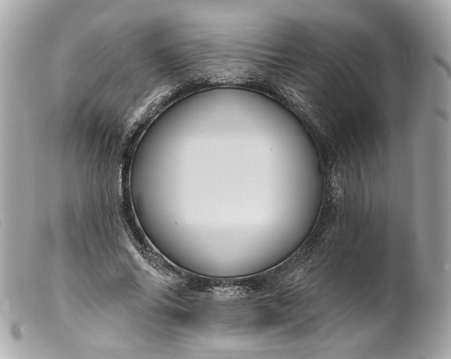 X0000099540686200805301501