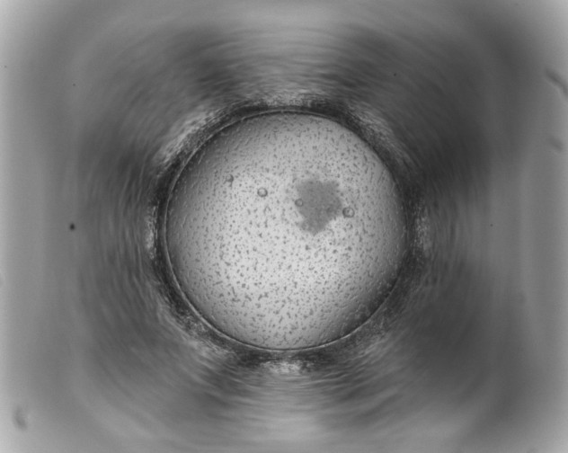 X0000099540687200805301501