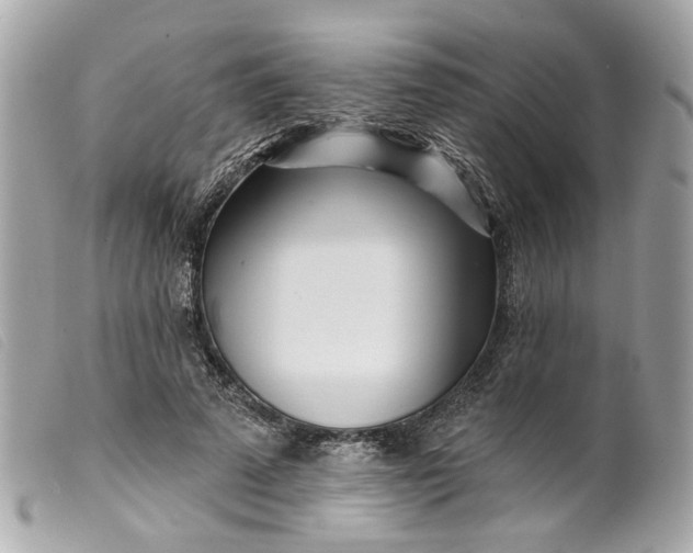 X0000099540689200805301501