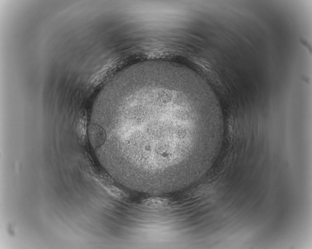 X0000099540691200805301501