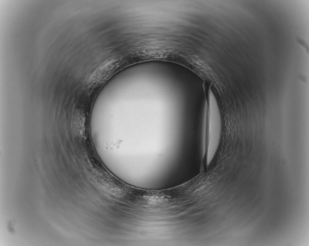 X0000099540693200805301501