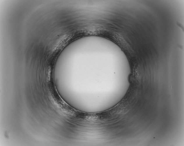 X0000099540694200805301501