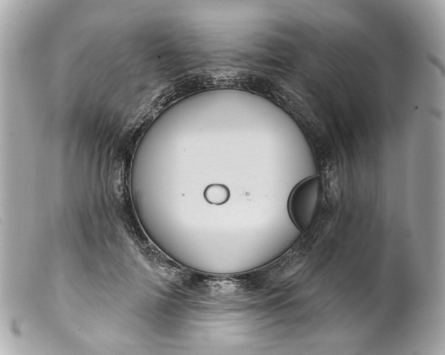 X0000099540698200805301500