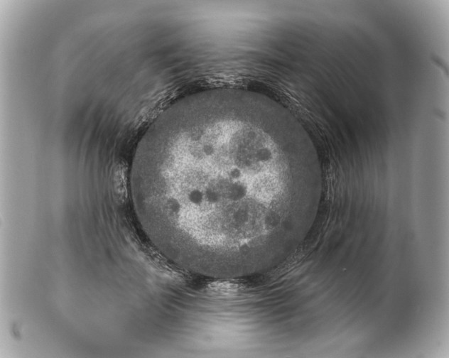 X0000099540699200805301500