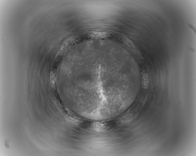 X0000099540701200805301500