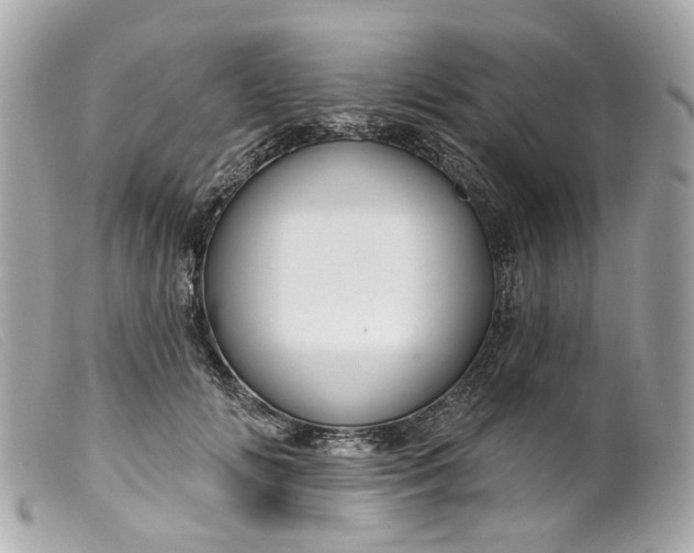 X0000099540702200805301500