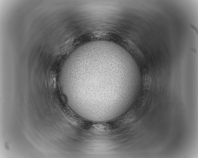 X0000099540703200805301500