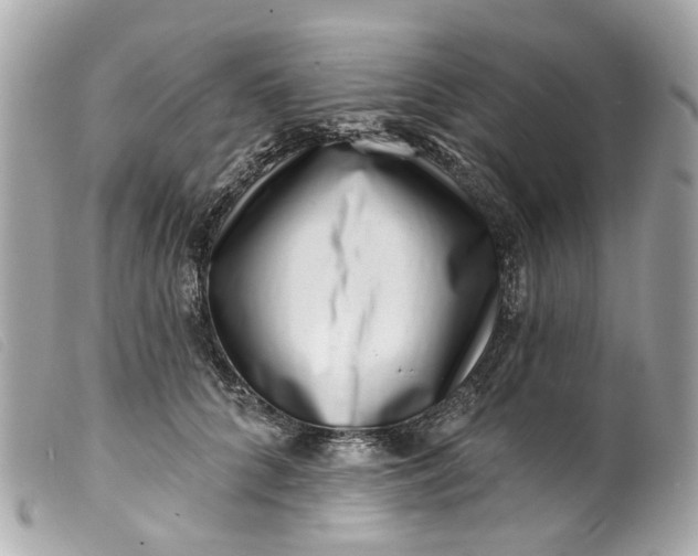 X0000099540704200805301500