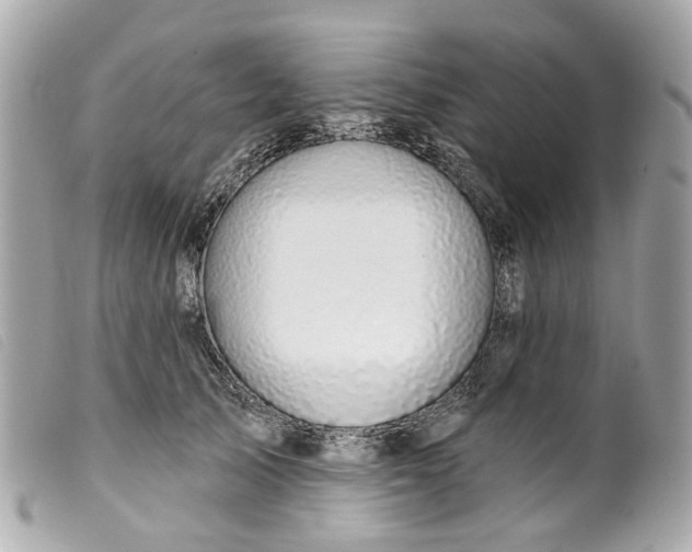 X0000099540705200805301500