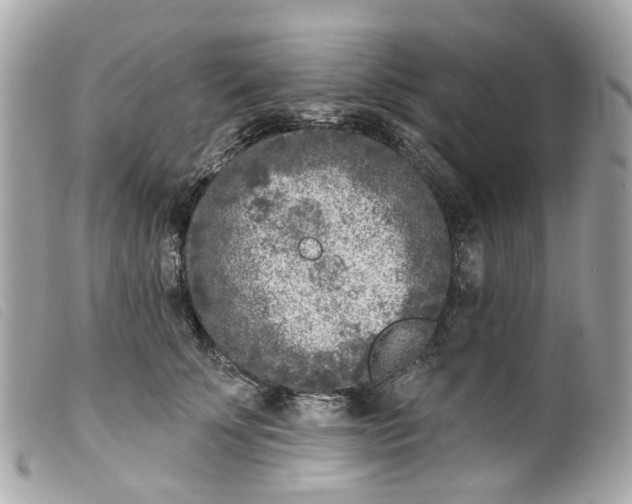 X0000099540707200805301500