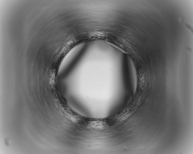 X0000099540708200805301500