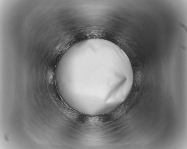 X0000099540709200805301500