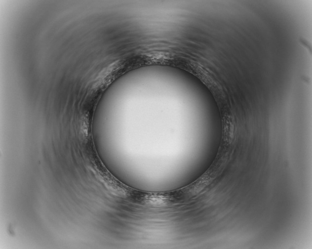 X0000099540710200805301500