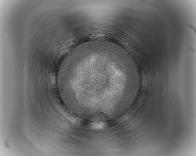 X0000099540711200805301500