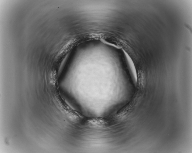 X0000099540712200805301500