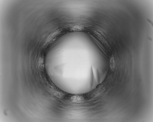 X0000099540714200805301500