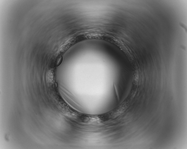 X0000099540715200805301500