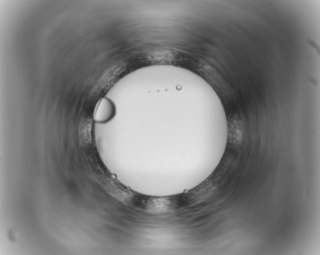 X0000099540717200805301500