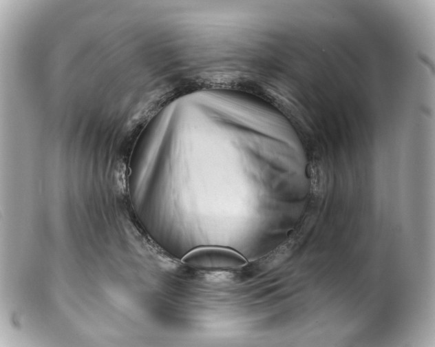 X0000099540718200805301500