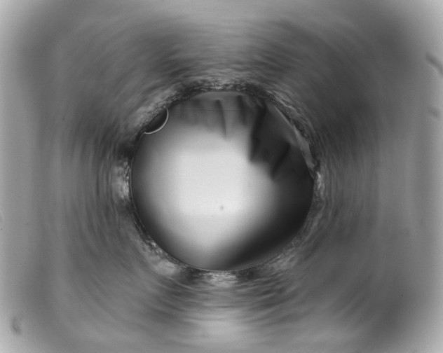 X0000099540719200805301500