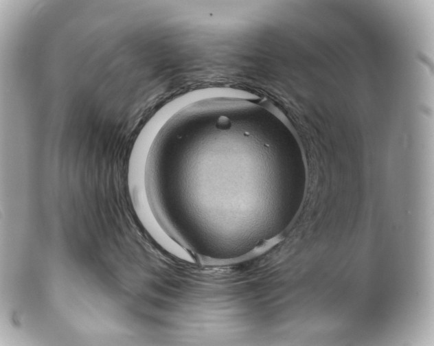 X0000099540720200805301500