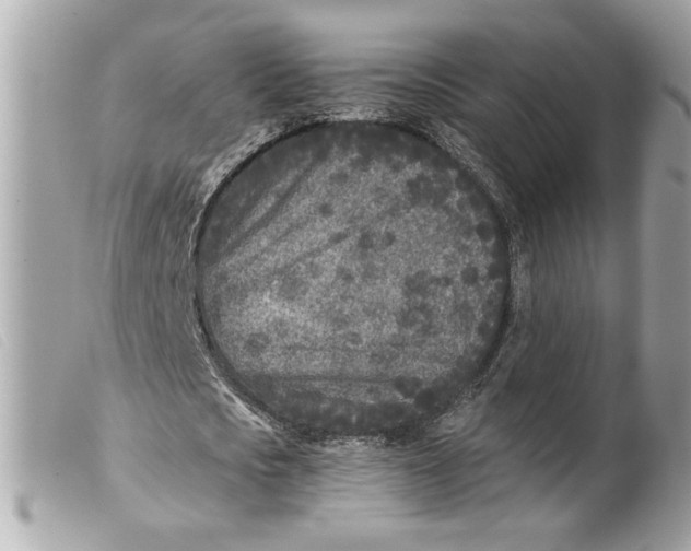 X0000099540721200805301500