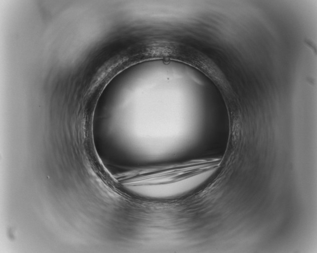 X0000099540722200805301500