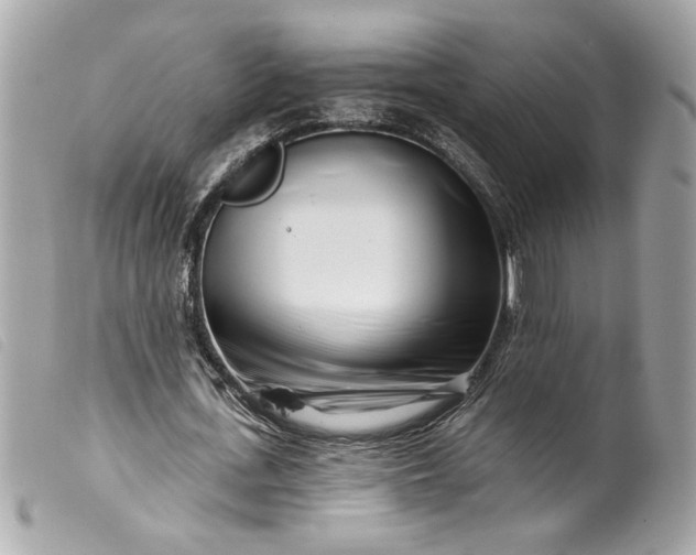 X0000099540723200805301500