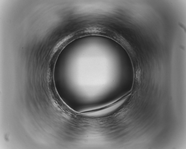 X0000099540724200805301500