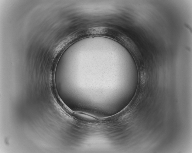 X0000099540725200805301500