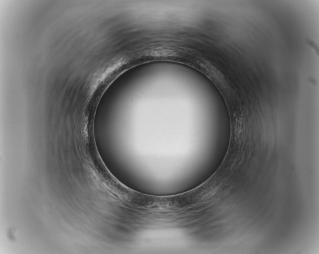 X0000099540727200805301500