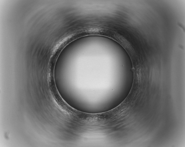 X0000099540728200805301500