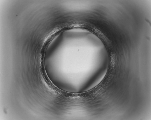 X0000099540730200805301500