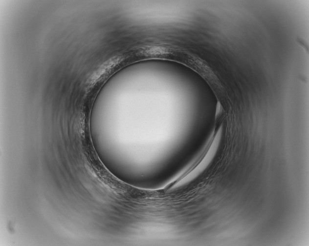 X0000099540732200805301500