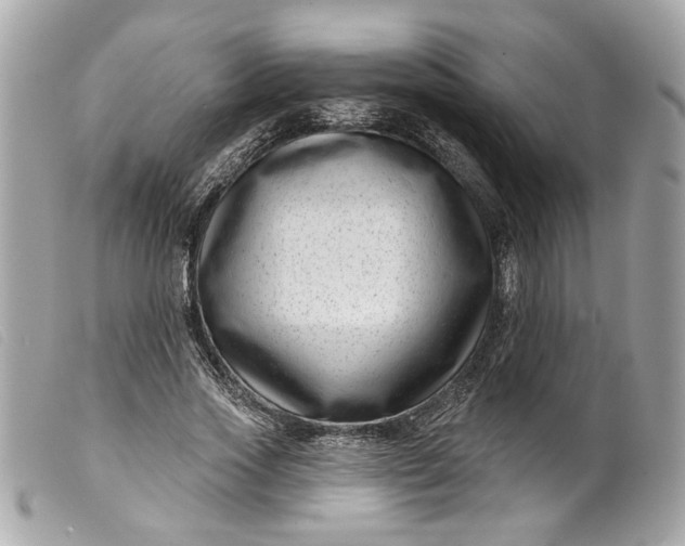 X0000099540733200805301500