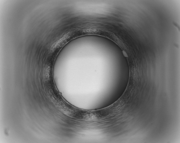 X0000099540735200805301500