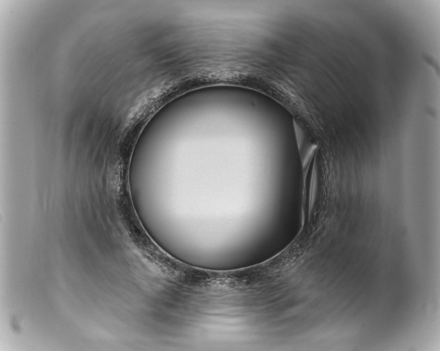 X0000099540736200805301500