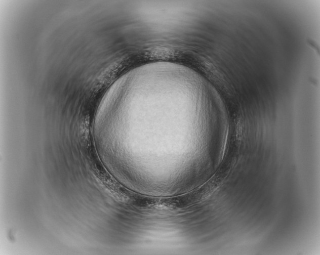 X0000099540737200805301500