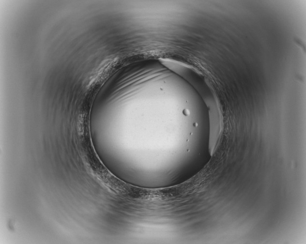 X0000099540738200805301500