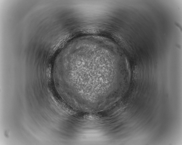 X0000099540739200805301500