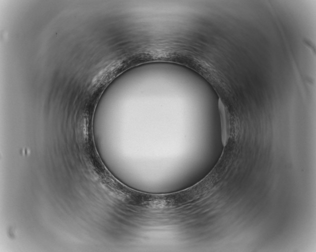 X0000099540740200805301500