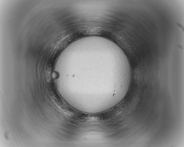 X0000099540741200805301500