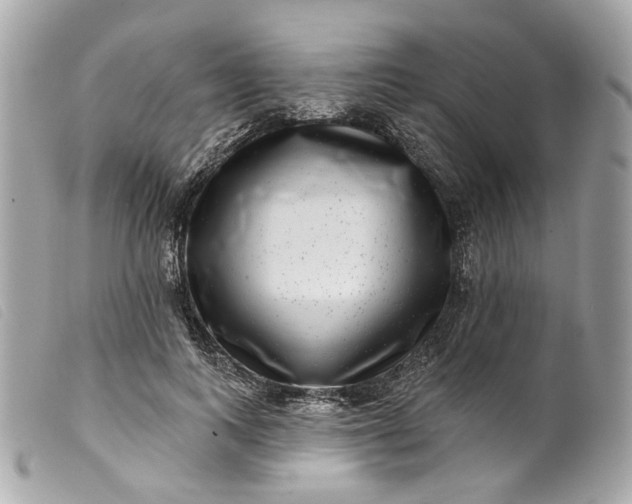 X0000099540743200805301500