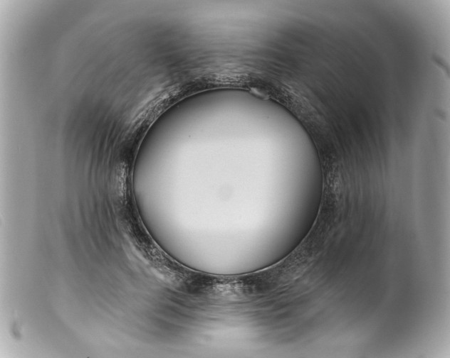 X0000099540744200805301500