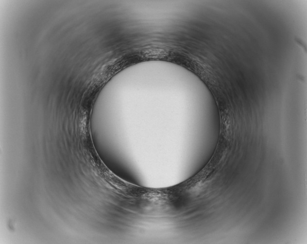 X0000099540745200805301500