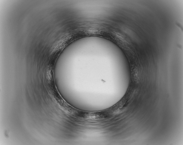 X0000099540746200805301500