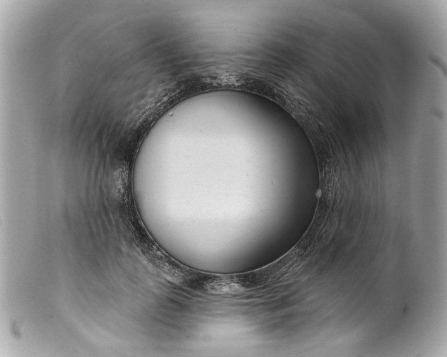 X0000099540747200805301500