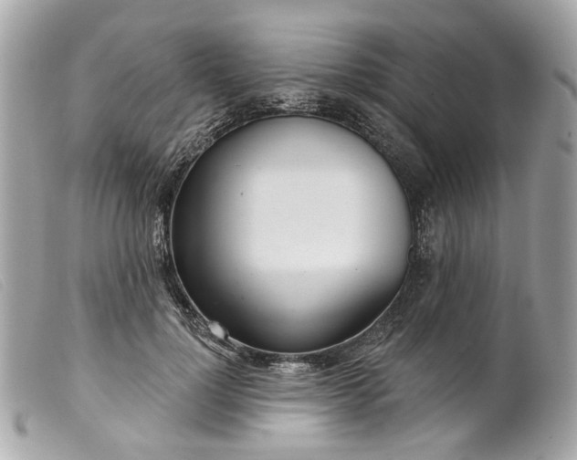 X0000099540748200805301500